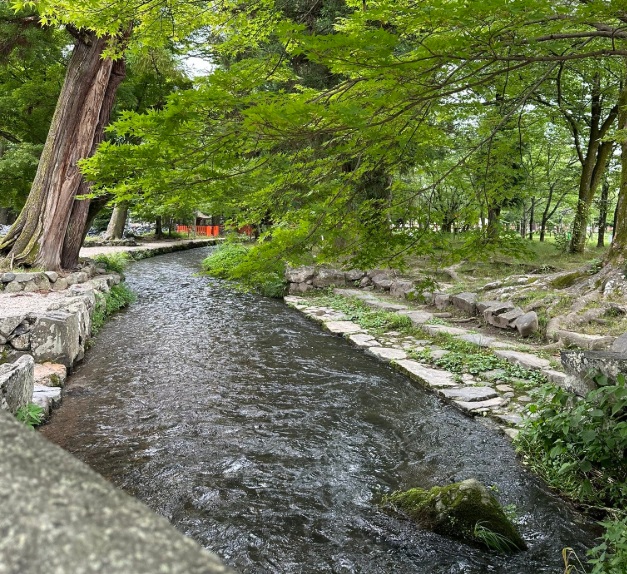 上賀茂神社　ならの小川
